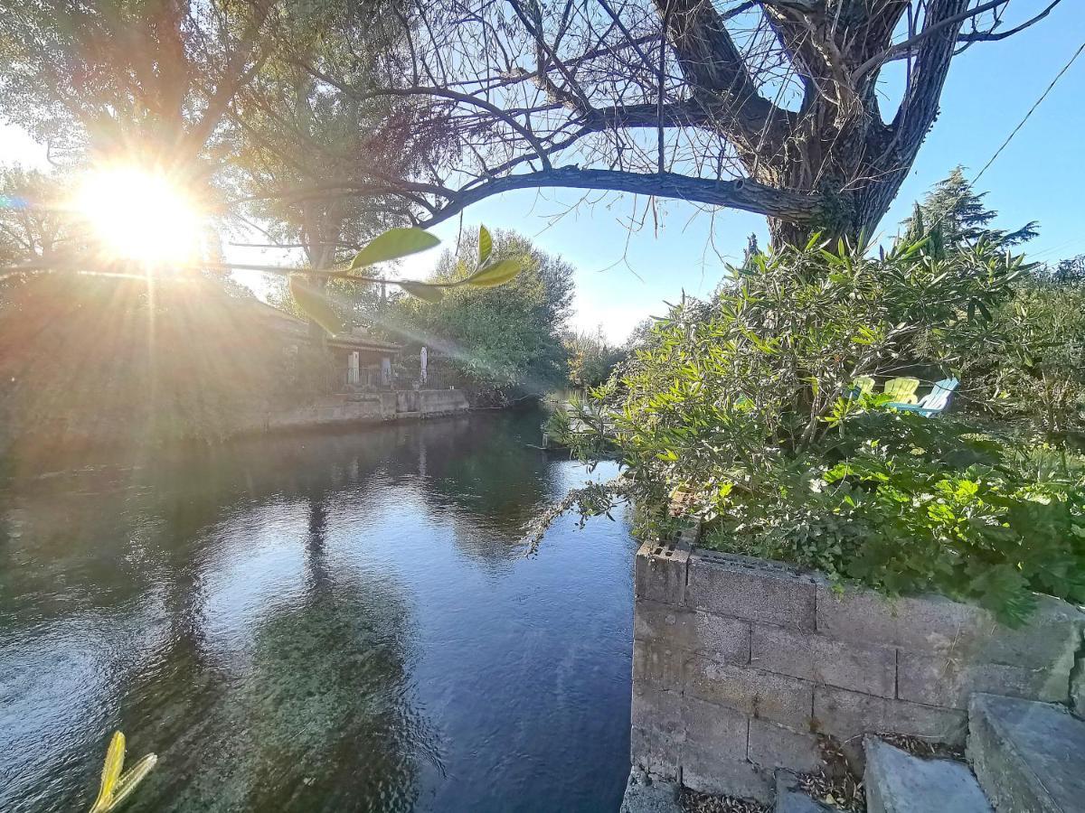 Gite L'Odonate, Partage Des Eaux LʼIsle-sur-la-Sorgue Eksteriør billede