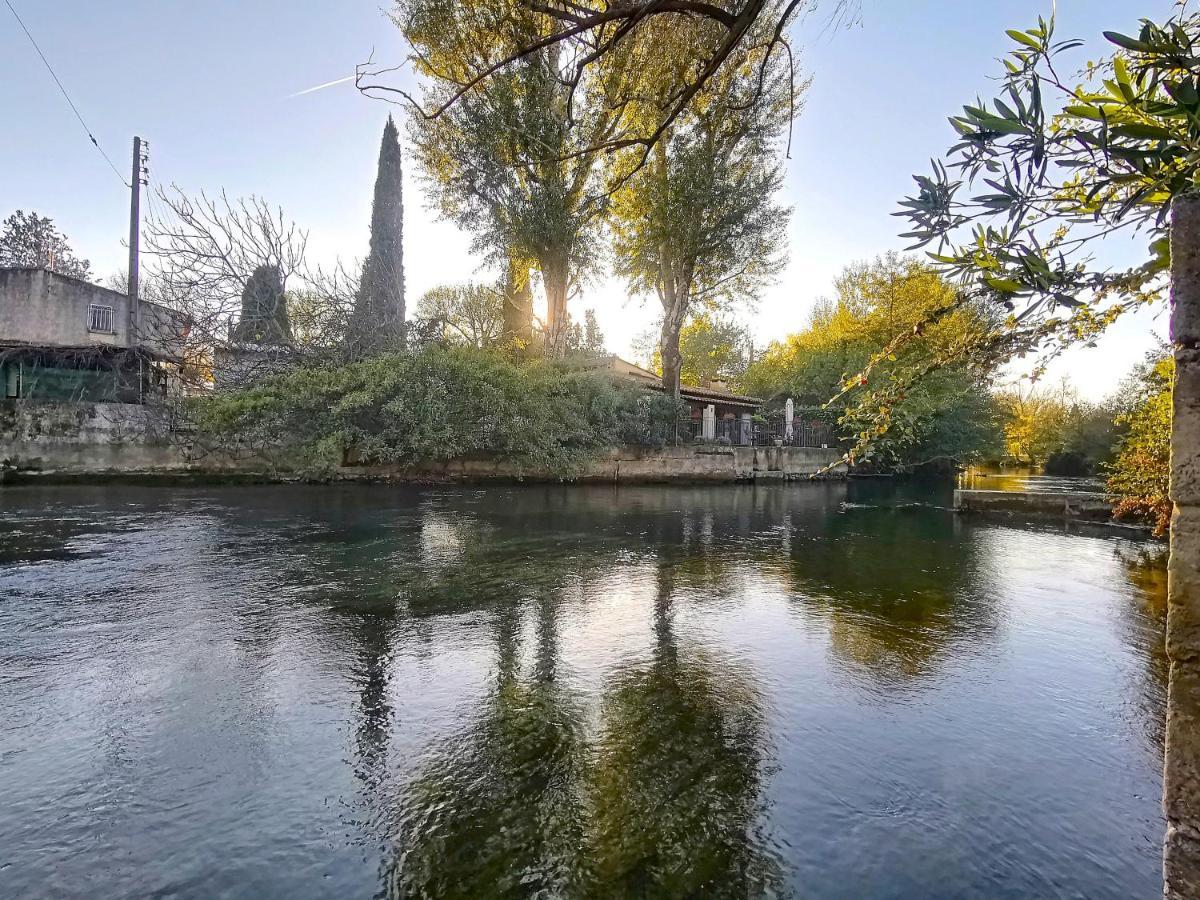 Gite L'Odonate, Partage Des Eaux LʼIsle-sur-la-Sorgue Eksteriør billede