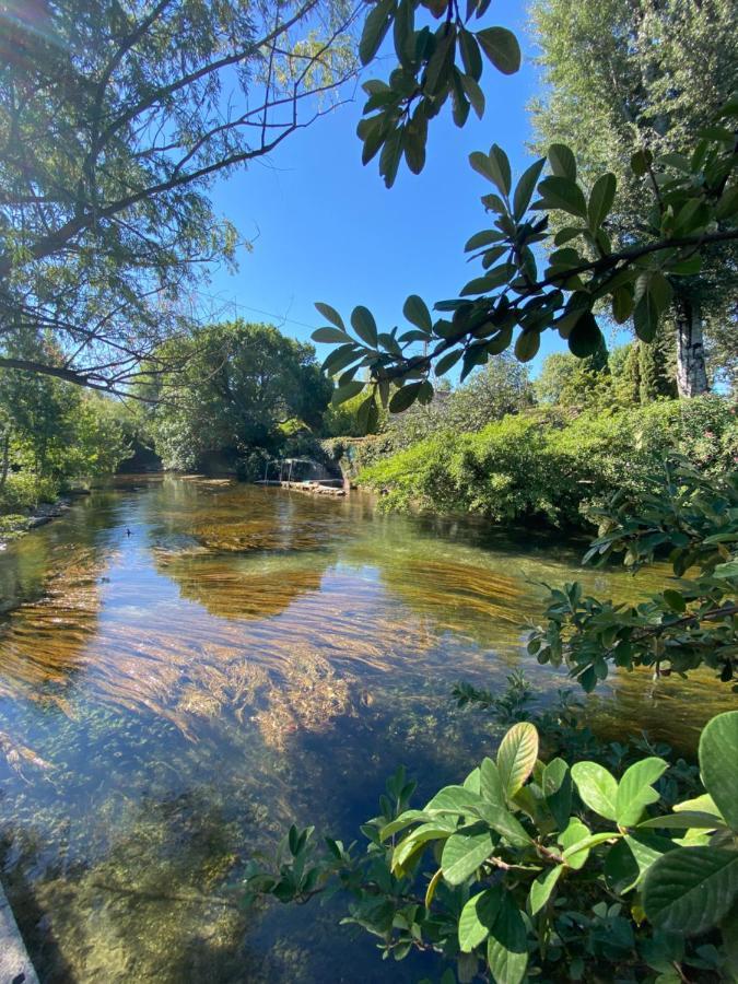 Gite L'Odonate, Partage Des Eaux LʼIsle-sur-la-Sorgue Eksteriør billede